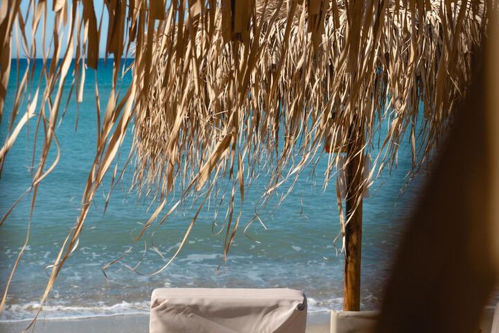 Beach 226 of 292
