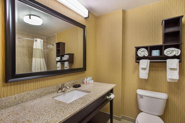 1 King 1 Bedroom Suite with Sofa Bed (9 of 10)