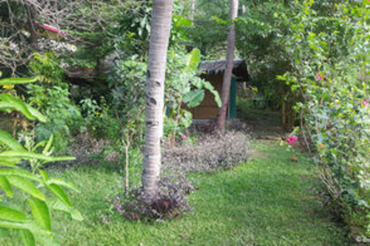 Property Grounds 26 of 28