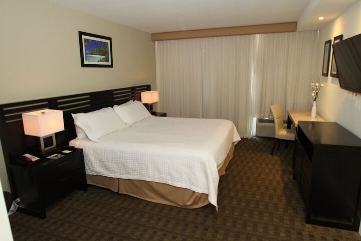 Standard | King Bed (7 of 10)