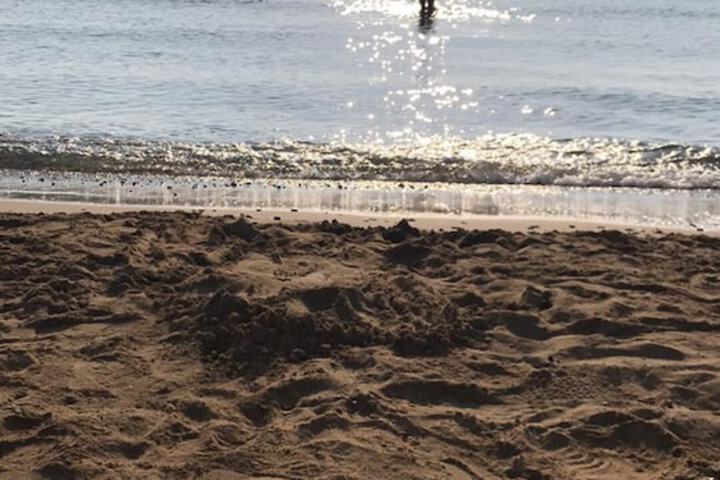 Beach 22 of 24