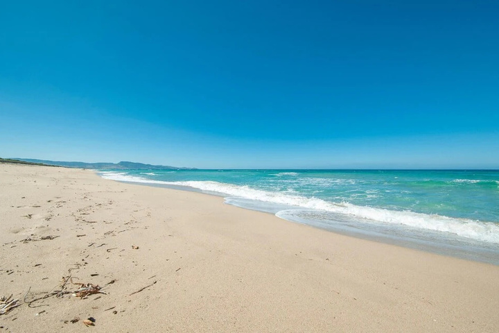 Beach 8 of 13