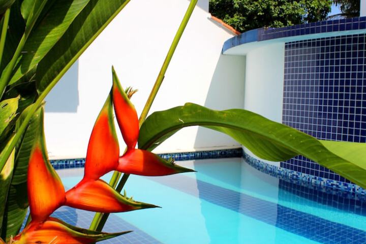 Recanto das Andorinhas Studio in Paraty