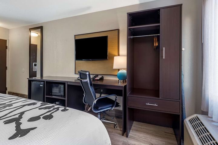 Queen Bed Accessible (2 of 13)