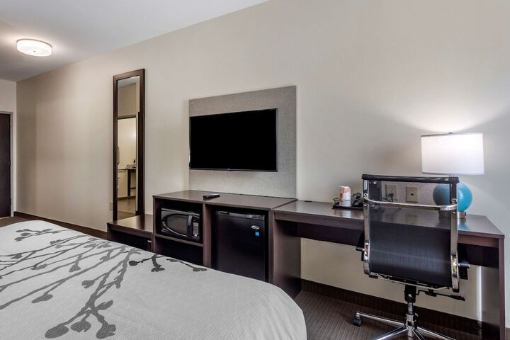 1 King Bed (9 of 13)