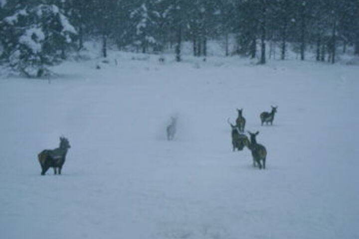 Property Grounds 25 of 28