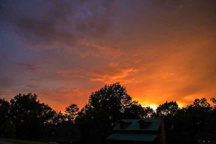 Property Grounds 60 of 77