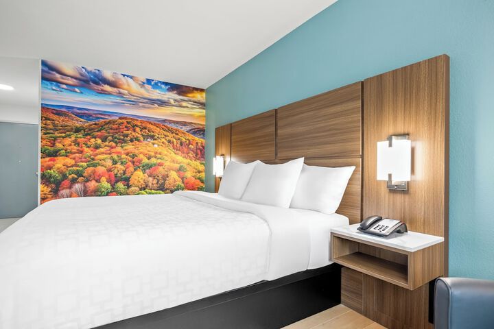 Hotel Suite Photo