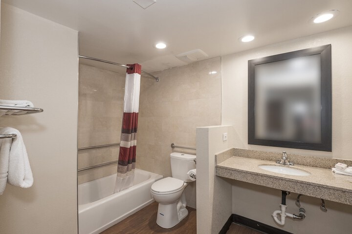 1 Queen Bed Accessible (1 of 13)