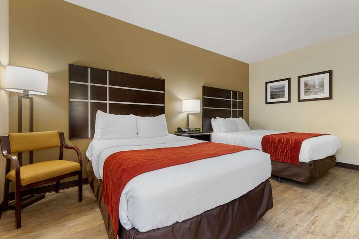Standard Room, King or Two Doubles (3 of 11)