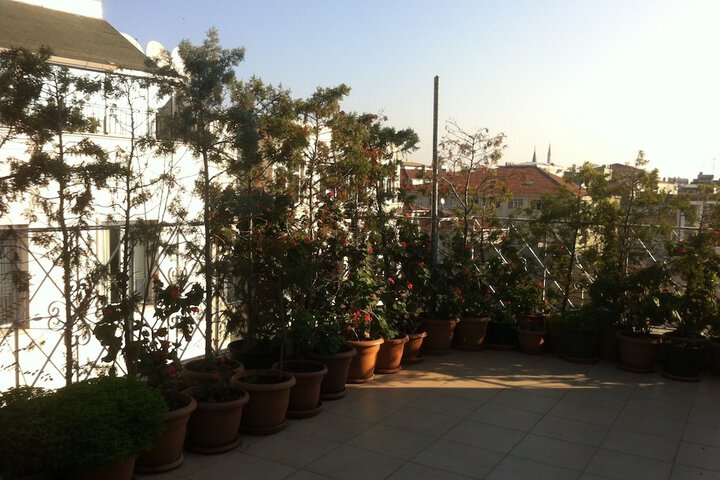 Terrace/Patio 29 of 33