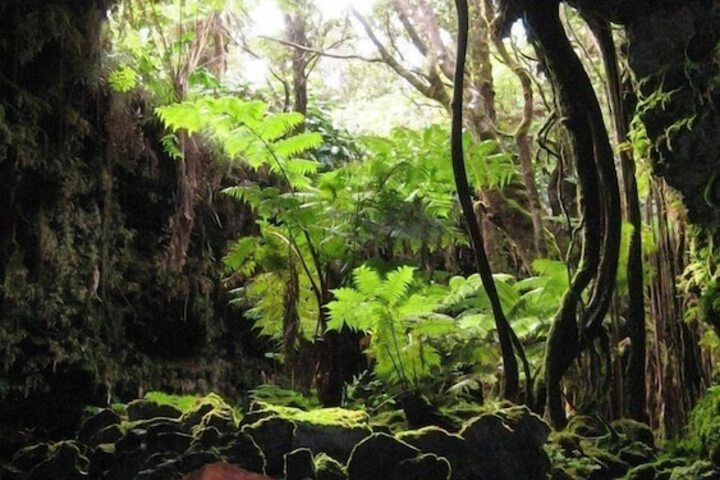 Outdoor Activities 12 of 22