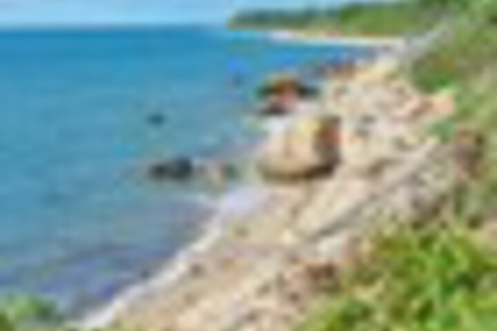 Beach 110 of 129