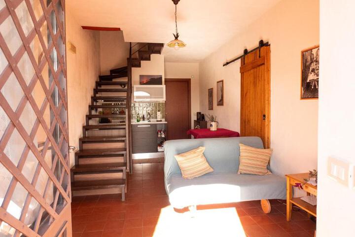 General 55 of 79