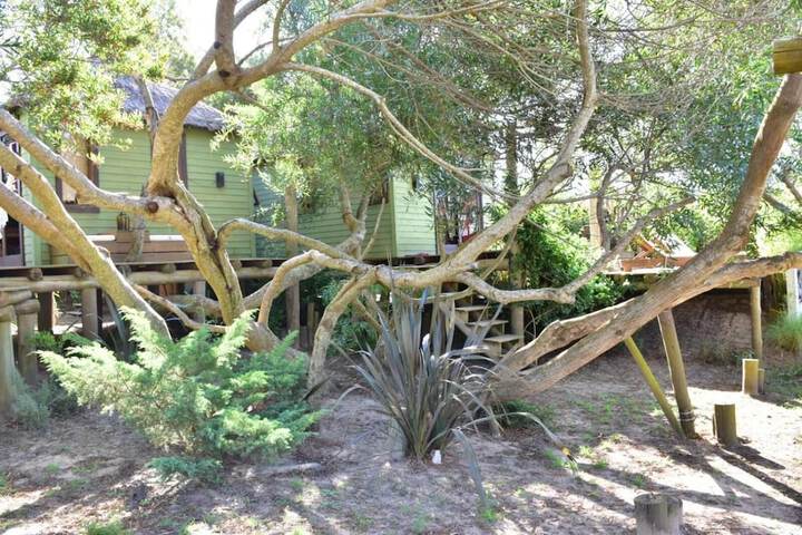 Property Grounds 22 of 45