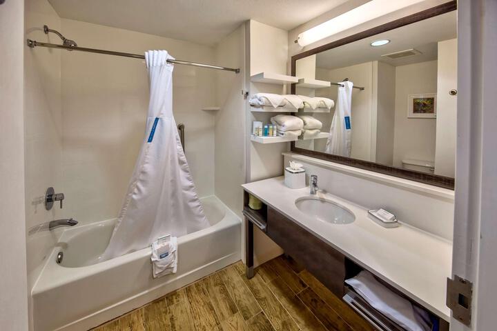 1 King Mobility Accessible with Tub (1 of 4)
