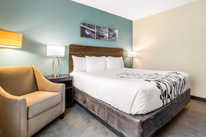 1 King Bed (15 of 22)