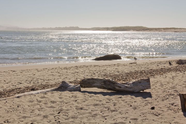 Property Grounds 22 of 30