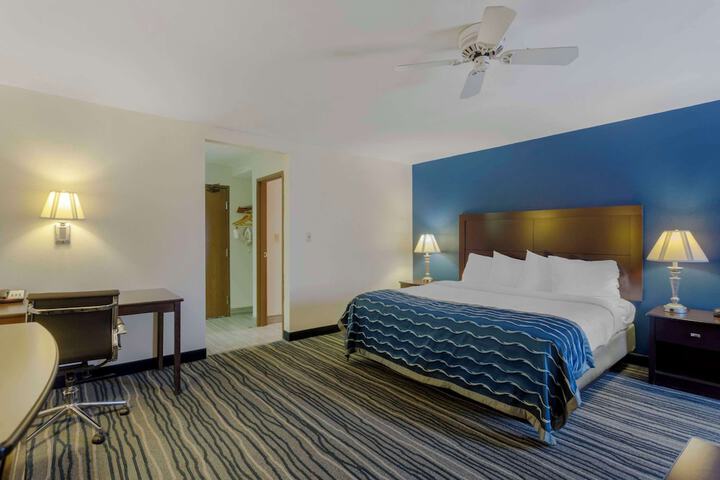 1 King Bed (13 of 15)