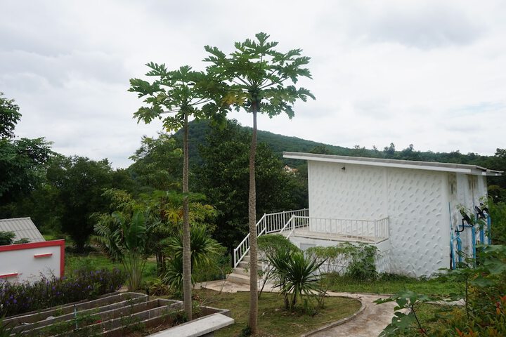 WhiteRock Resort Pakchong in Pak Chong