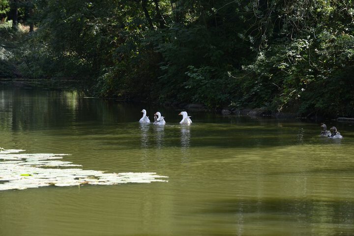 Outdoor Activities 64 of 77