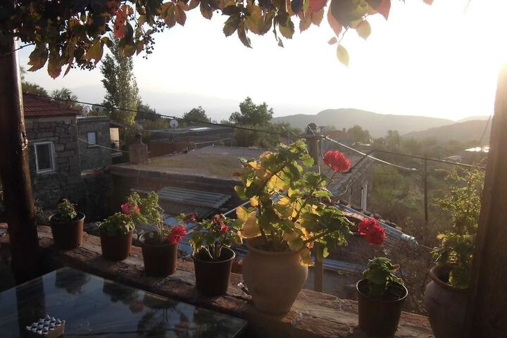 Terrace/Patio 22 of 24