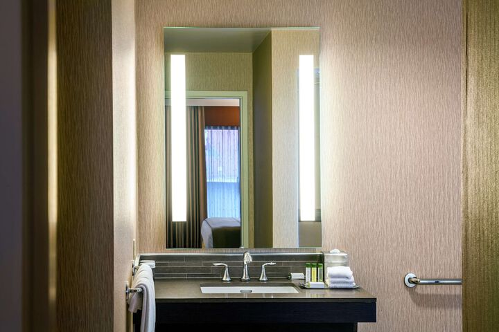 1 King Bed Mobility Accessible with Bathtub (15 of 32)