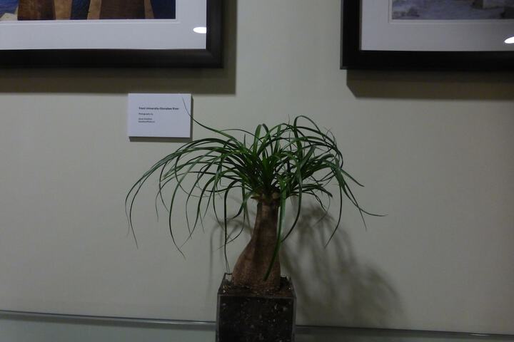 Hotel Interior 59 of 67