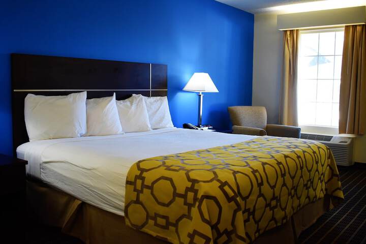1 King Bed Mobility Accessible (7 of 8)