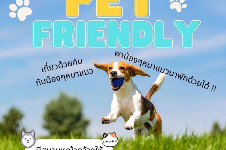 Pet Friendly 32 of 43