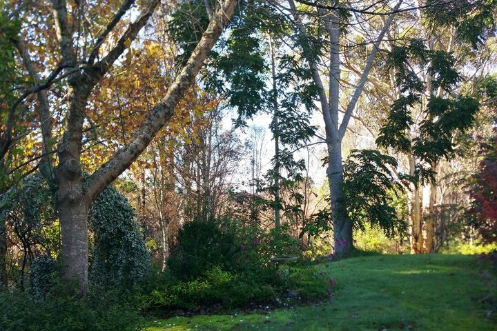 Property Grounds 16 of 18