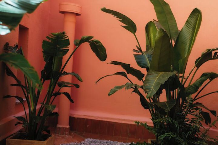 Terrace/Patio 26 of 39