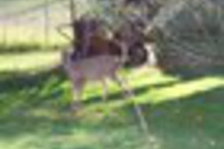 Property Grounds 230 of 246