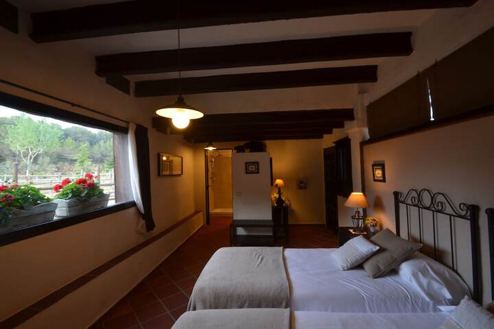 View from room