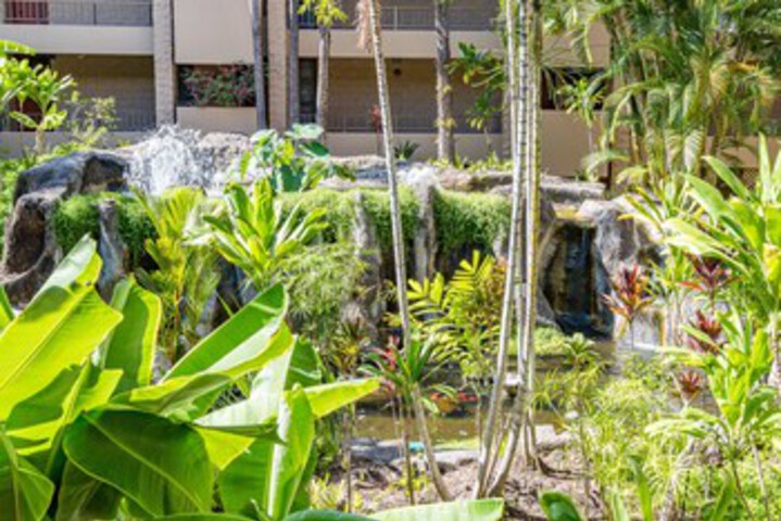 Property Grounds 46 of 57
