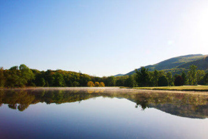 Property Grounds 48 of 77