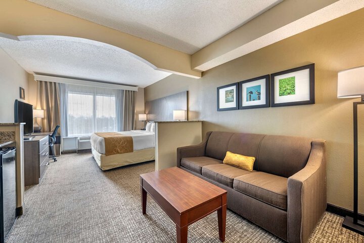 1 King Bed Suite (17 of 26)