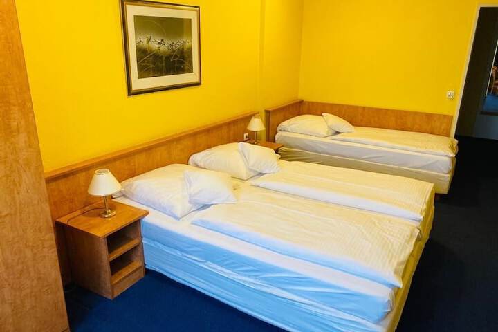 Room 12 of 66
