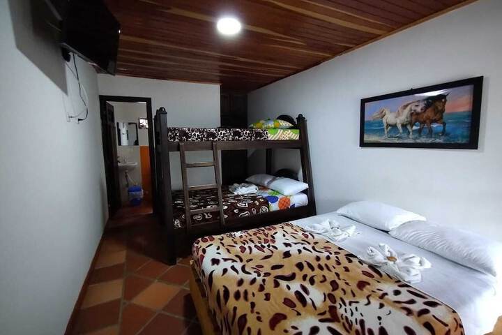 Room 12 of 26