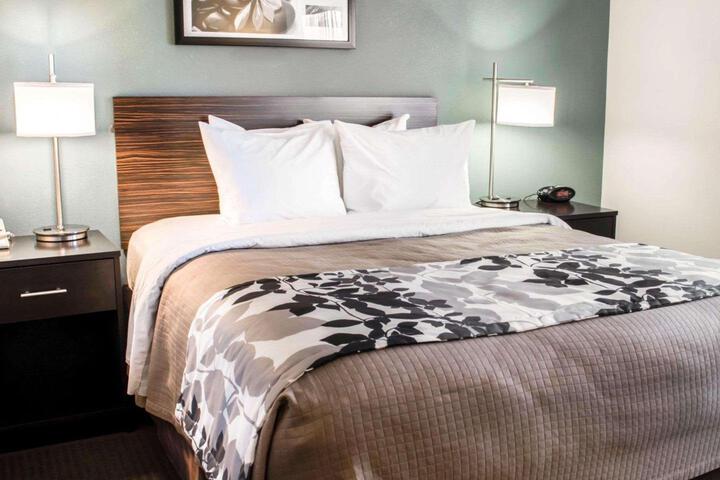 1 Queen Bed Accessible (8 of 11)