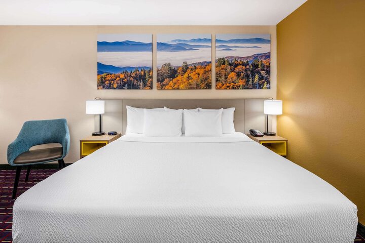 1 King Bed (8 of 14)