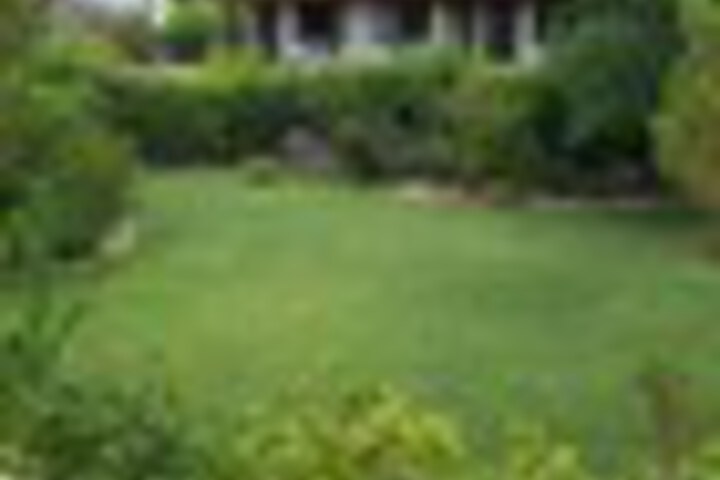 Property Grounds 44 of 81