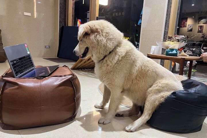 Pet Friendly 64 of 69