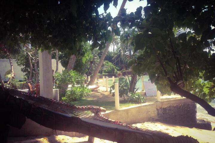Photo 26