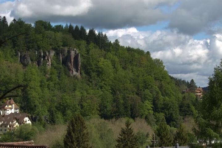 Ecotours