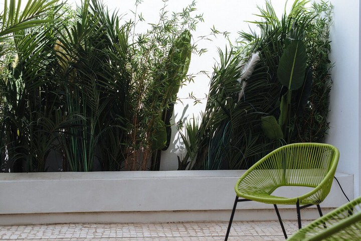 Terrace/Patio 272 of 317