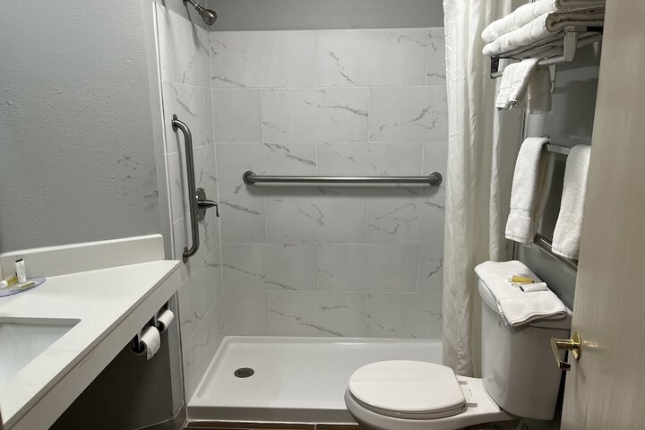 1 King Bed Accessible (26 of 28)