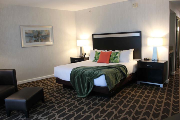 Standard | King Bed (3 of 11)