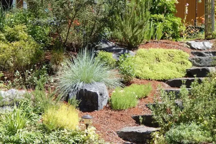 GREEN CAT GUEST HOUSE
