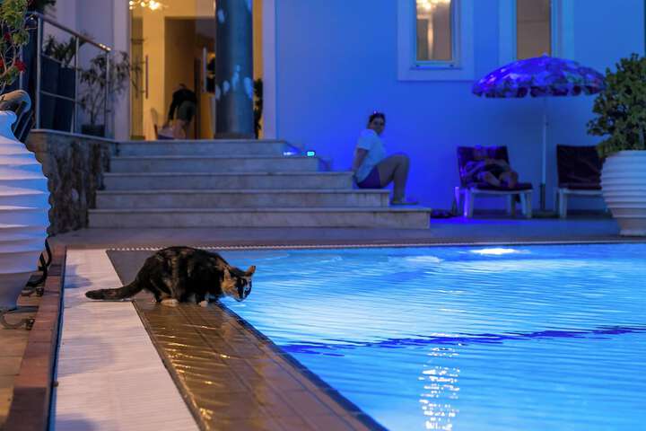 Hotel 142 of 151